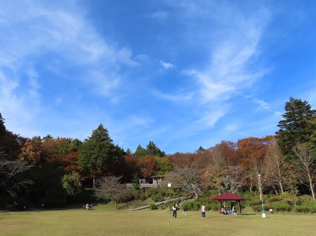 IMG_1503トリミング.JPG