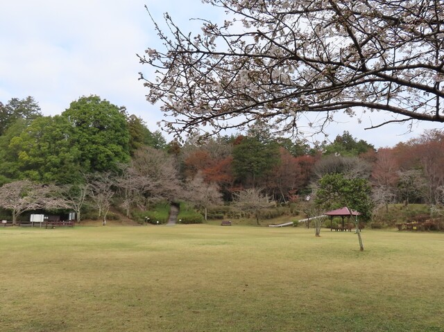 IMG_3619トリミング.JPG